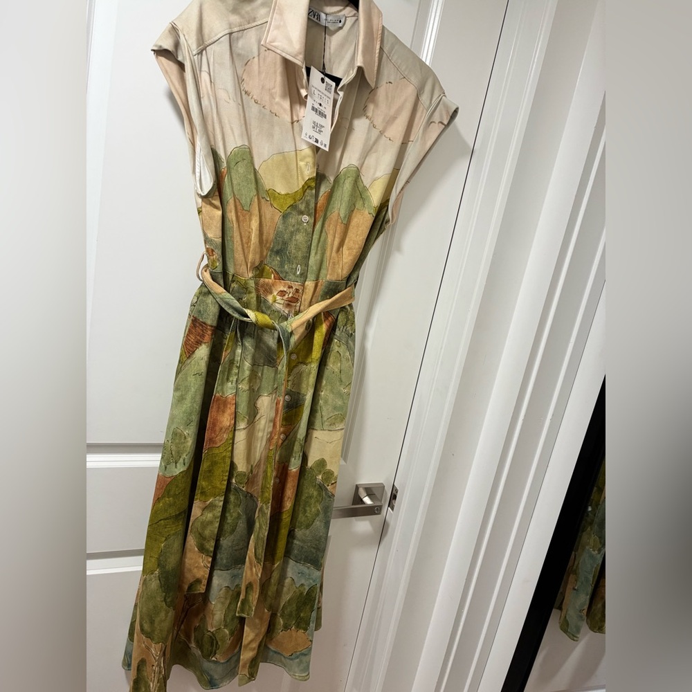 Zara landscape Midi Dress